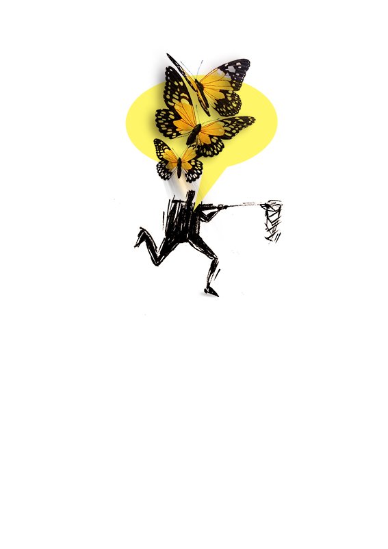 Rogerio de Andrade - Buttervlieg